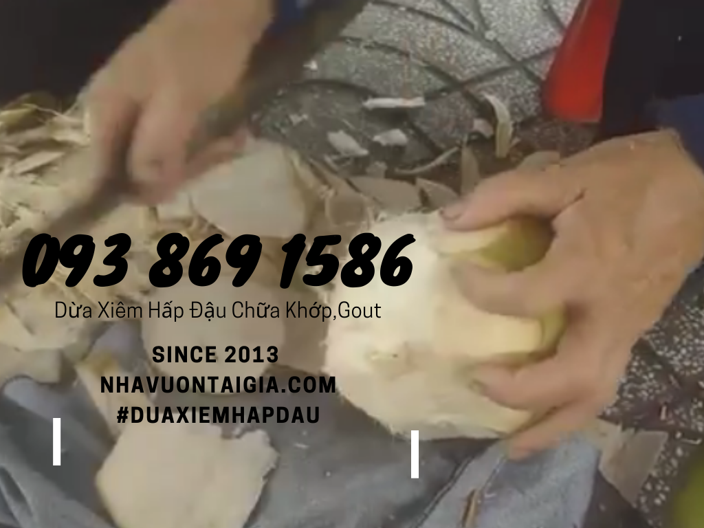 Coconut bean Dừa xiêm hấp đậu since 2013 chữa đau nhức xương khớp Gout tại nhà