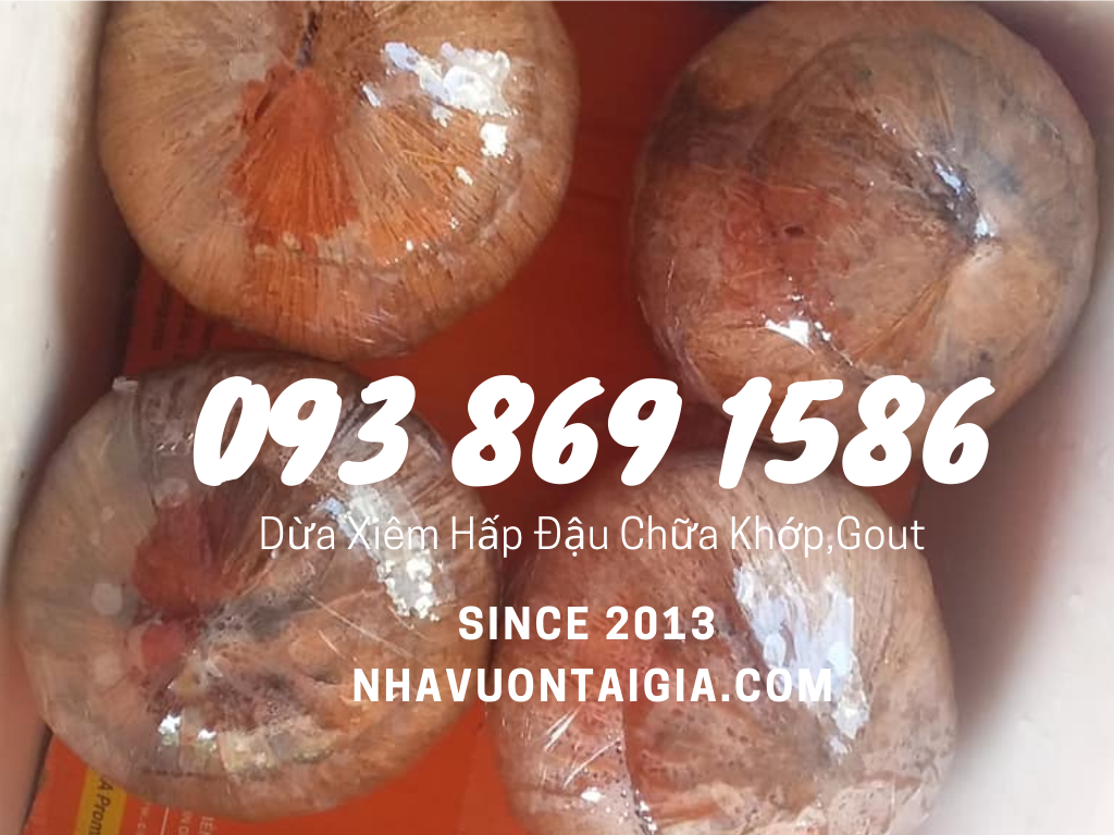 Coconut bean Dừa xiêm hấp đậu since 2013 chữa đau nhức xương khớp Gout tại nhà