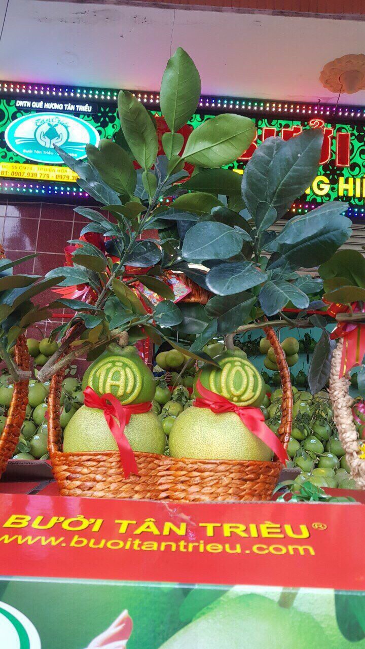 Giỏ Bưởi Lục Bình giỏ quà tặng trái cây thủ công mỹ nghệ thân thiện môi trường 
