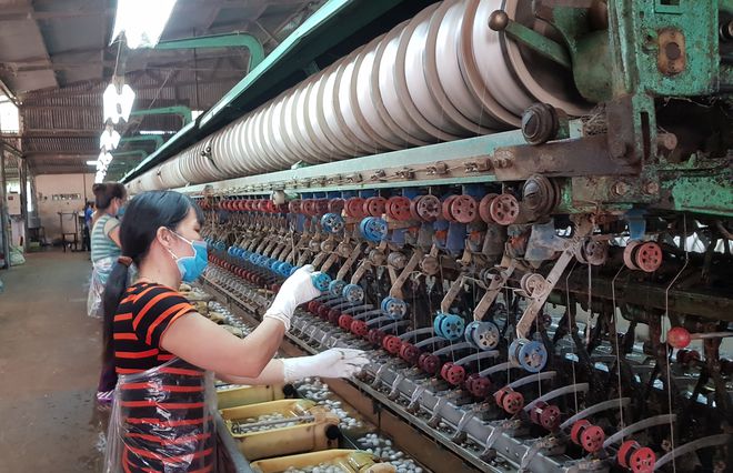 Giá kén tằm tăng cao nhà máy không đủ nguyên liệu sản xuất tơ lụa xuất khẩu mùa dịch  COVID 19 