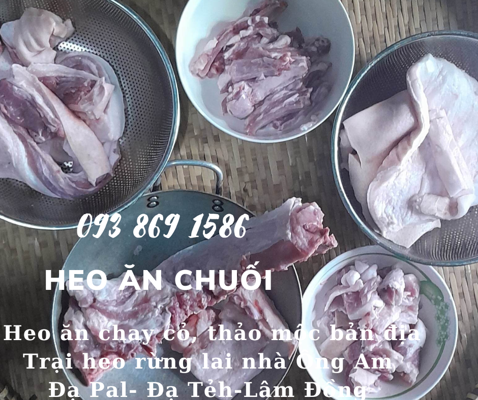 Heo ăn chuối chay thảo mộc Nhà ông Am Đạ Pal Lâm Đồng giá thịt heo bình ổn quanh năm từ trại Heo Rừng Lai 