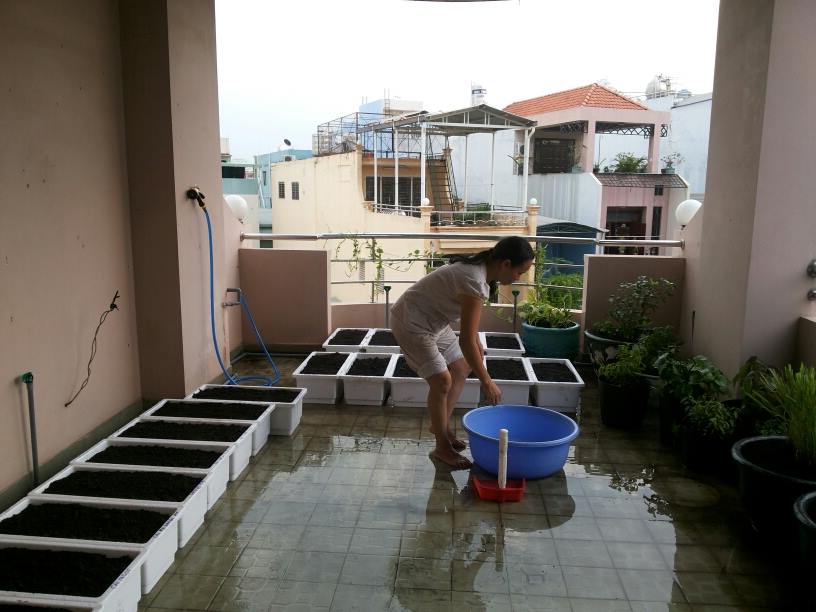 Vườn Rau sạch nhà khách quận 12