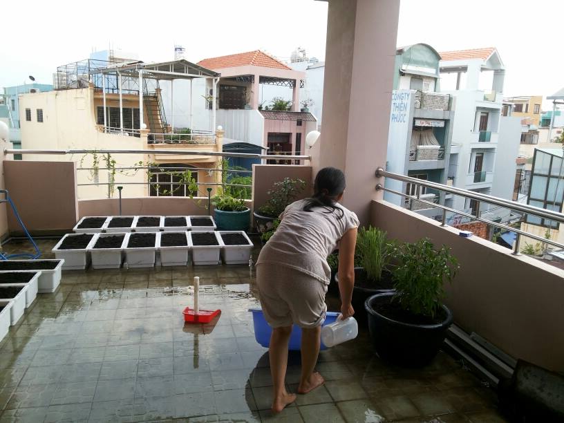 Vườn Rau sạch nhà khách quận 12