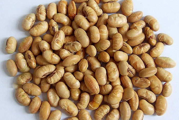 Đậu nành sấy giòn 0909 176 988
