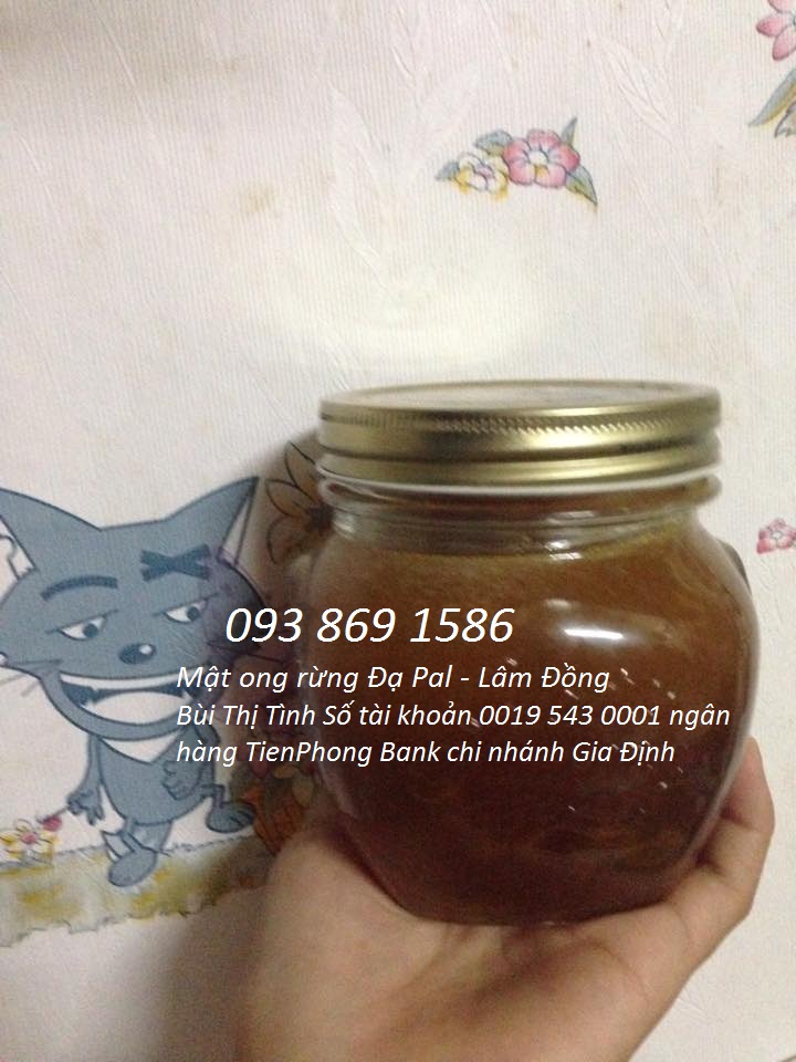 mat-ong-rung-dapal-lam-dong