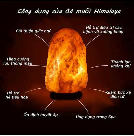 da-muoi-himalaya