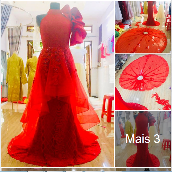 Váy Cưới Áo cưới thiết kế thời trang váy cưới Công Chuyển Bridal 