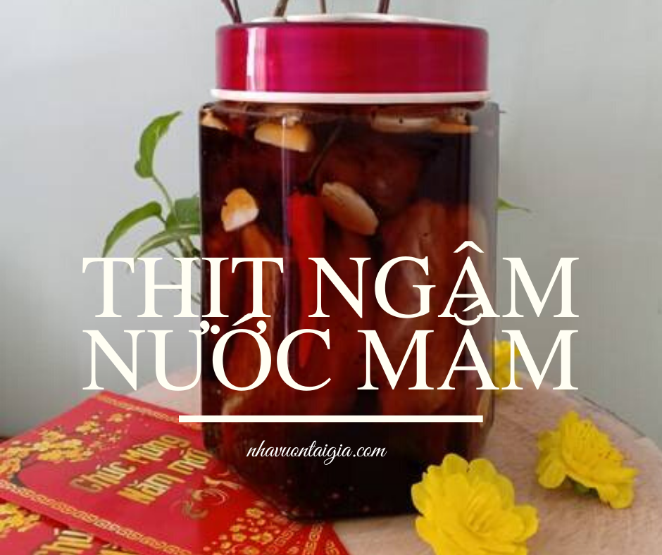 Thịt ngâm nước mắm kiểu miền Trung 