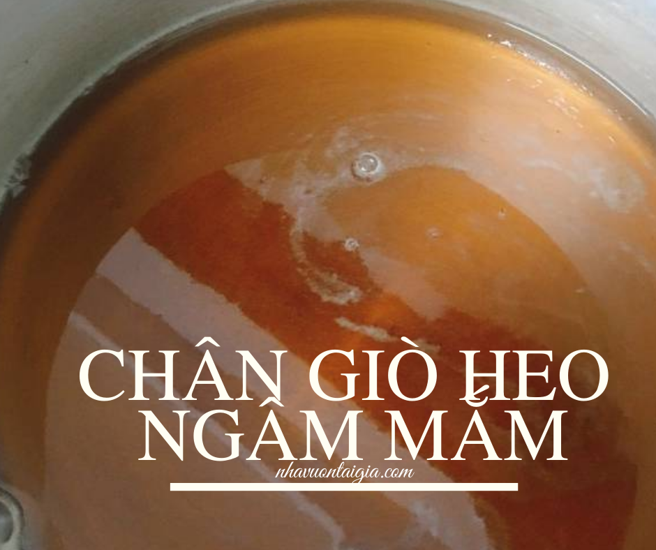Chân giò heo ngâm mắm siêu ngon