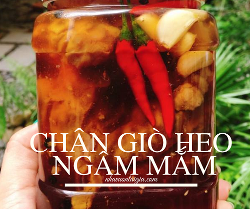 Chân giò heo ngâm mắm siêu ngon