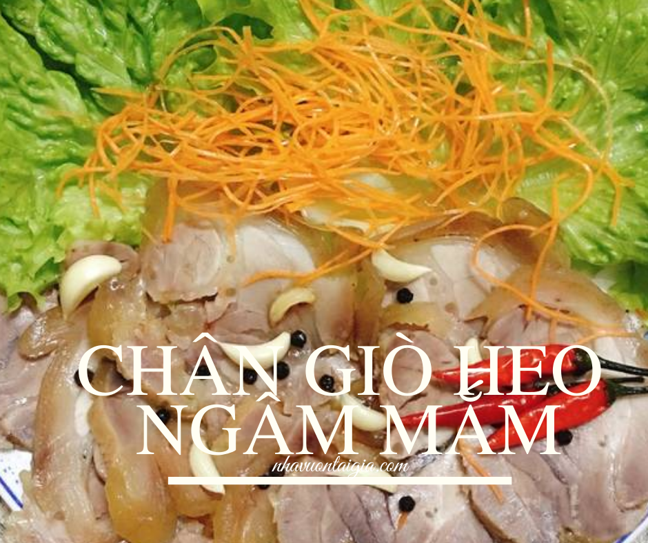 Chân giò heo ngâm mắm siêu ngon