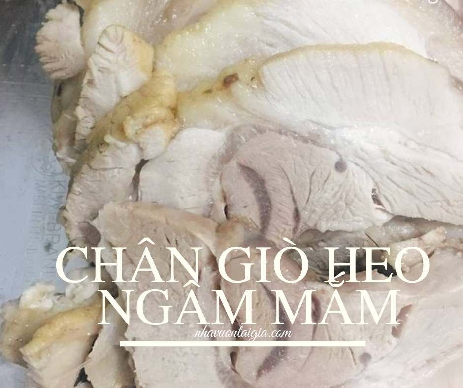 Chân giò heo ngâm mắm siêu ngon