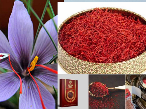 nhuy-hoa-nghe-tay-2gr-gia-bao-nhieu-tien