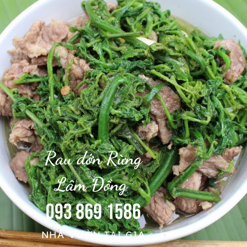 Rau dớn rau rừng Lâm Đồng đặc sản cao nguyên vua của các loại rau rừng tự nhiên