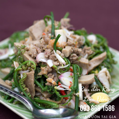 Rau dớn rau rừng Lâm Đồng đặc sản cao nguyên vua của các loại rau rừng tự nhiên