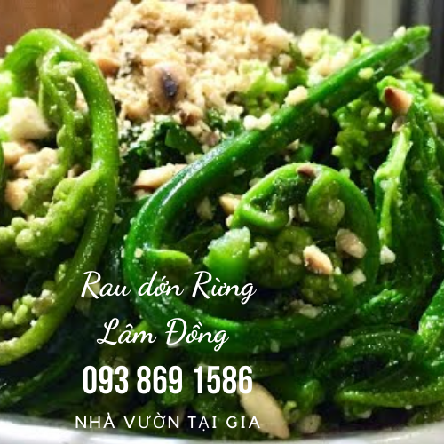 Rau dớn rau rừng Lâm Đồng đặc sản cao nguyên vua của các loại rau rừng tự nhiên