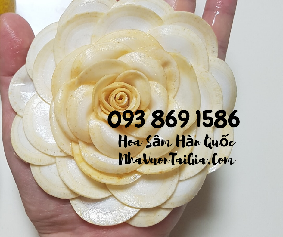 Hoa Sầm Hàn Quốc, hoa sâm khô Hàn Quốc mua tại TPHCM 