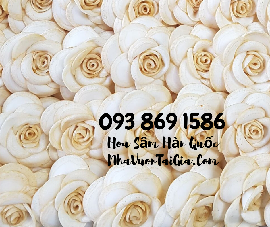 Hoa Sầm Hàn Quốc, hoa sâm khô Hàn Quốc mua tại TPHCM 