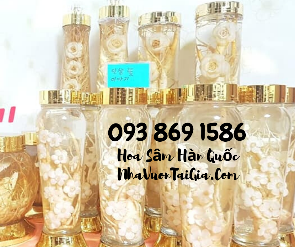Hoa Sầm Hàn Quốc, hoa sâm khô Hàn Quốc mua tại TPHCM 