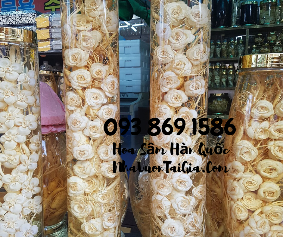 Hoa Sầm Hàn Quốc, hoa sâm khô Hàn Quốc mua tại TPHCM 