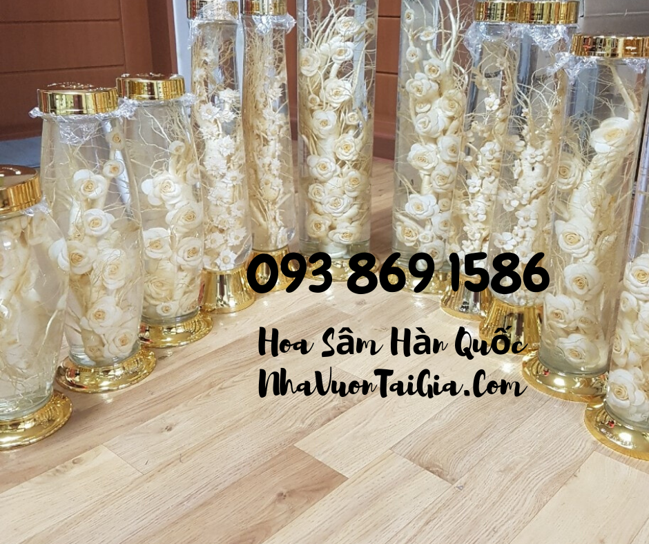 Hoa Sầm Hàn Quốc, hoa sâm khô Hàn Quốc mua tại TPHCM 