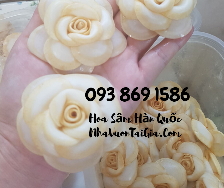 Hoa Sầm Hàn Quốc, hoa sâm khô Hàn Quốc mua tại TPHCM 