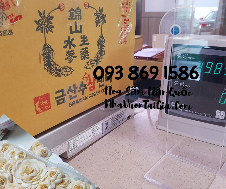 Hoa Sầm Hàn Quốc, hoa sâm khô Hàn Quốc mua tại TPHCM 