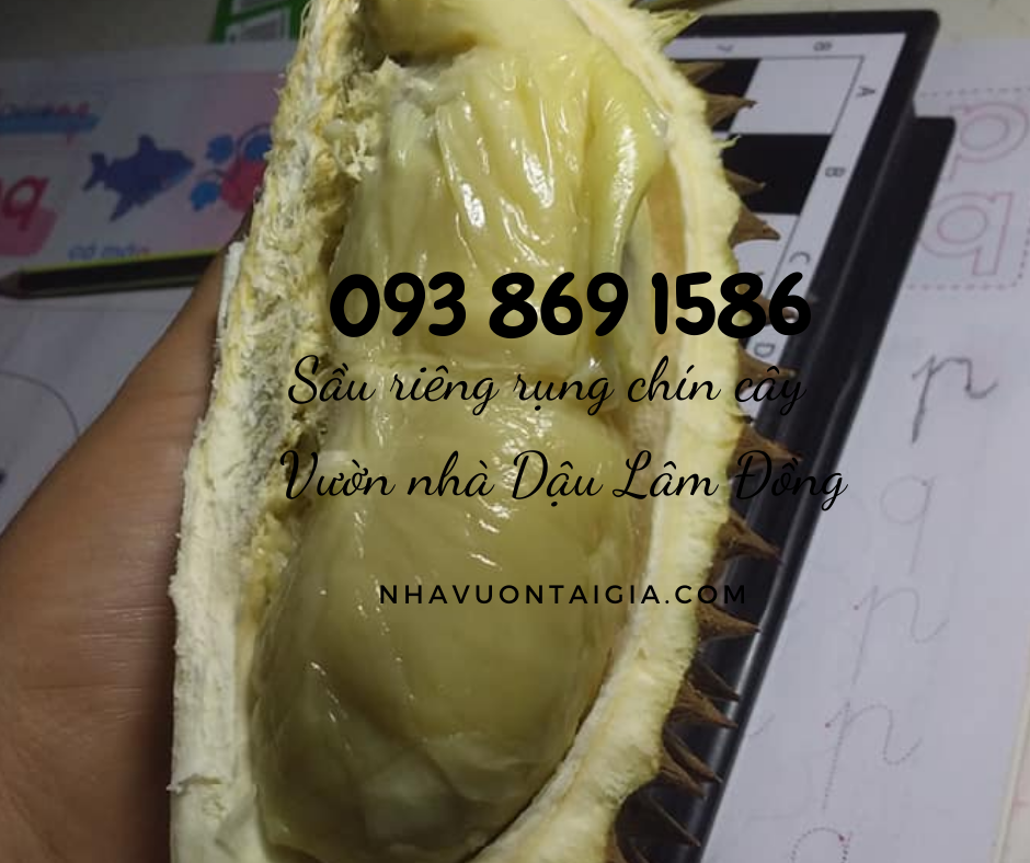 Mua sầu riêng ngon ở tphcm Sầu riêng rụng chín cây ăn ngay TPHCM