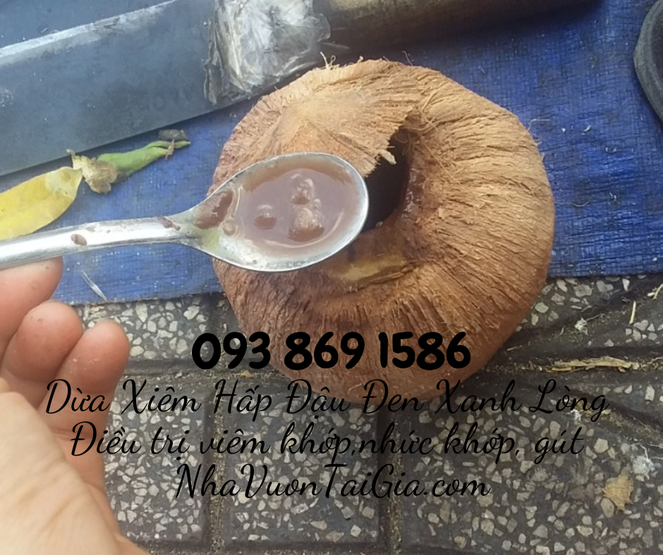 Dừa Xiêm Hấp Đậu Đen Xanh Lòng bài thuốc điều trị bệnh đau khớp, viêm khớp, nhức khớp, gút