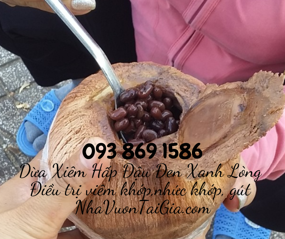 Dừa Xiêm Hấp Đậu Đen Xanh Lòng bài thuốc điều trị bệnh đau khớp, viêm khớp, nhức khớp, gút