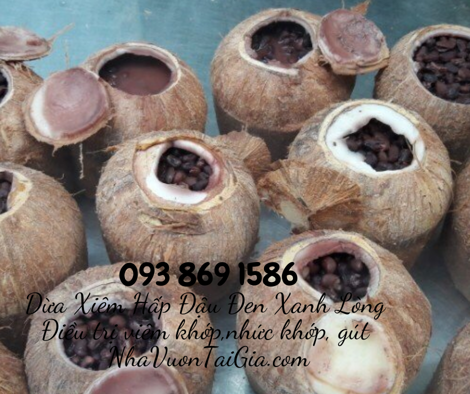 Dừa Xiêm Hấp Đậu Đen Xanh Lòng bài thuốc điều trị bệnh đau khớp, viêm khớp, nhức khớp, gút