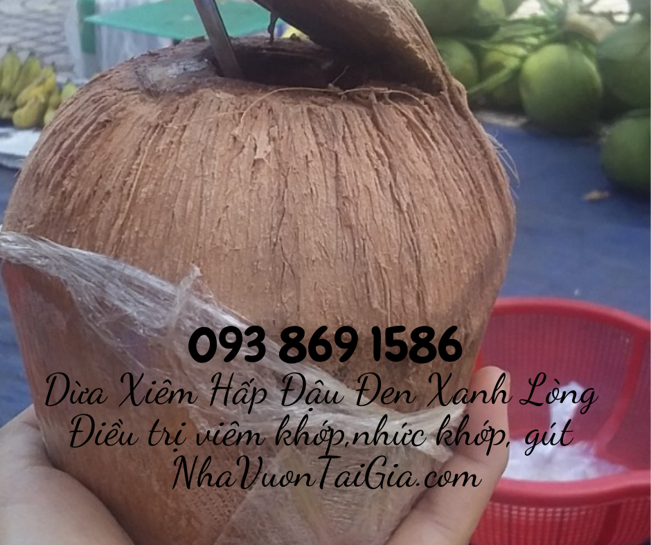 Dừa Xiêm Hấp Đậu Đen Xanh Lòng bài thuốc điều trị bệnh đau khớp, viêm khớp, nhức khớp, gút