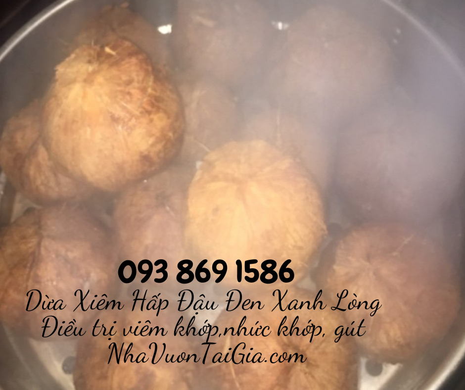 Dừa Xiêm Hấp Đậu Đen Xanh Lòng bài thuốc điều trị bệnh đau khớp, viêm khớp, nhức khớp, gút