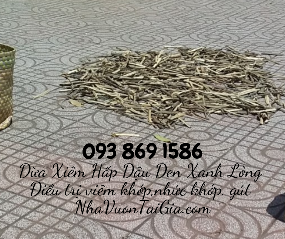 Dừa Xiêm Hấp Đậu Đen Xanh Lòng bài thuốc điều trị bệnh đau khớp, viêm khớp, nhức khớp, gút