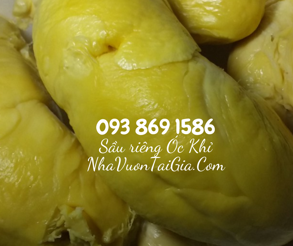 Sầu riêng óc khỉ (óc chó, Út Thủy)TPHCM rụng chín cây 
