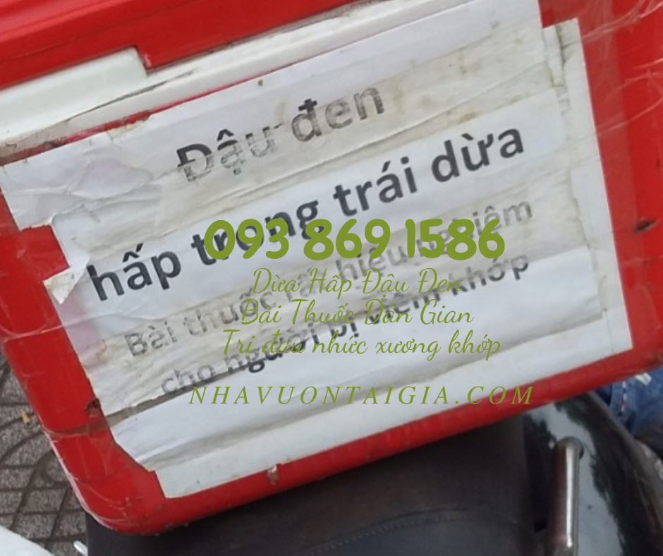 Dừa hấp đậu đen trị đau nhức xương khớp và các bài thuốc từ đậu đen thần thánh