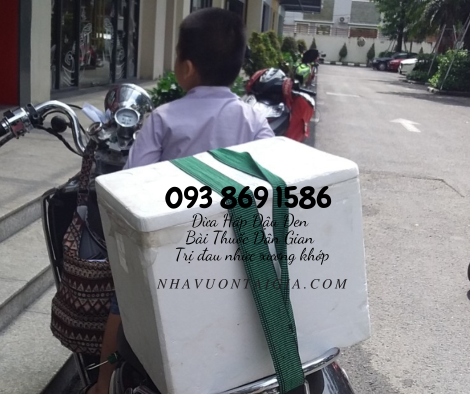 Dừa hấp đậu đen trị đau nhức xương khớp và các bài thuốc từ đậu đen thần thánh
