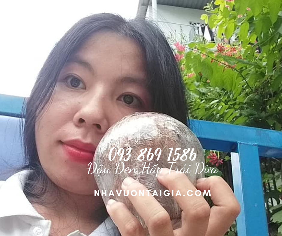 Dừa Xiêm Hấp Đậu Đen Xanh Lòng bài thuốc điều trị bệnh đau khớp, viêm khớp, nhức khớp, gút
