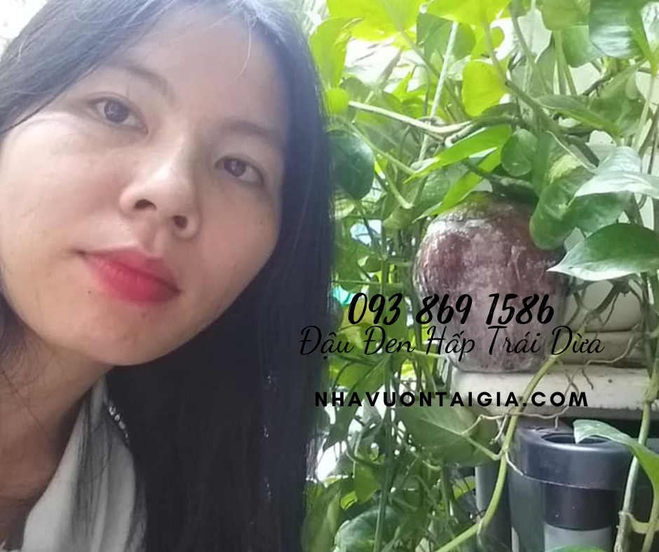 Đậu đen xanh lòng chữa tiểu đường, bài thuốc chữa bệnh từ đậu đen hấp trái dừa cách thủy