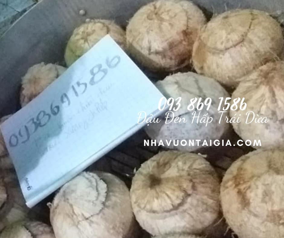 Dừa Xiêm Hấp Đậu Đen Xanh Lòng bài thuốc điều trị bệnh đau khớp, viêm khớp, nhức khớp, gút