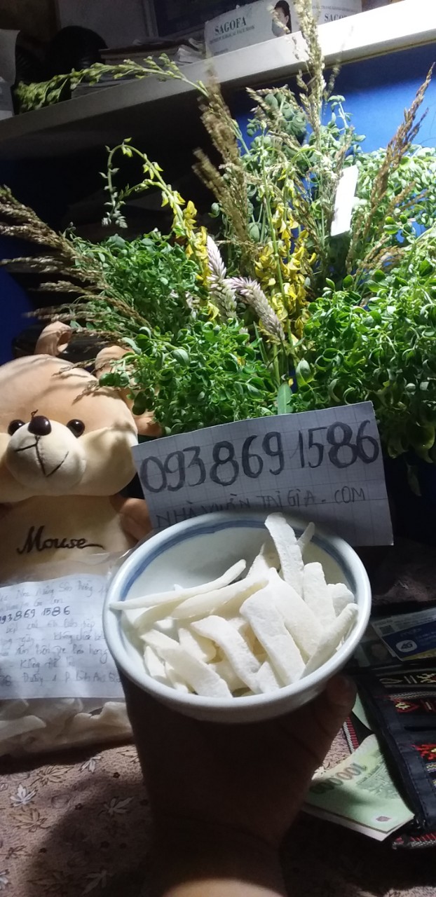 Mứt dừa non Bến Tre Tâm Đức handmade vị truyền thống, lá dứa, cafe, sầu riêng TPHCM