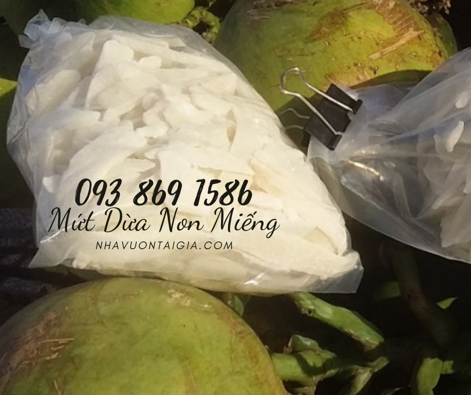 Mứt dừa non Bến Tre Tâm Đức handmade vị truyền thống, lá dứa, cafe, sầu riêng TPHCM