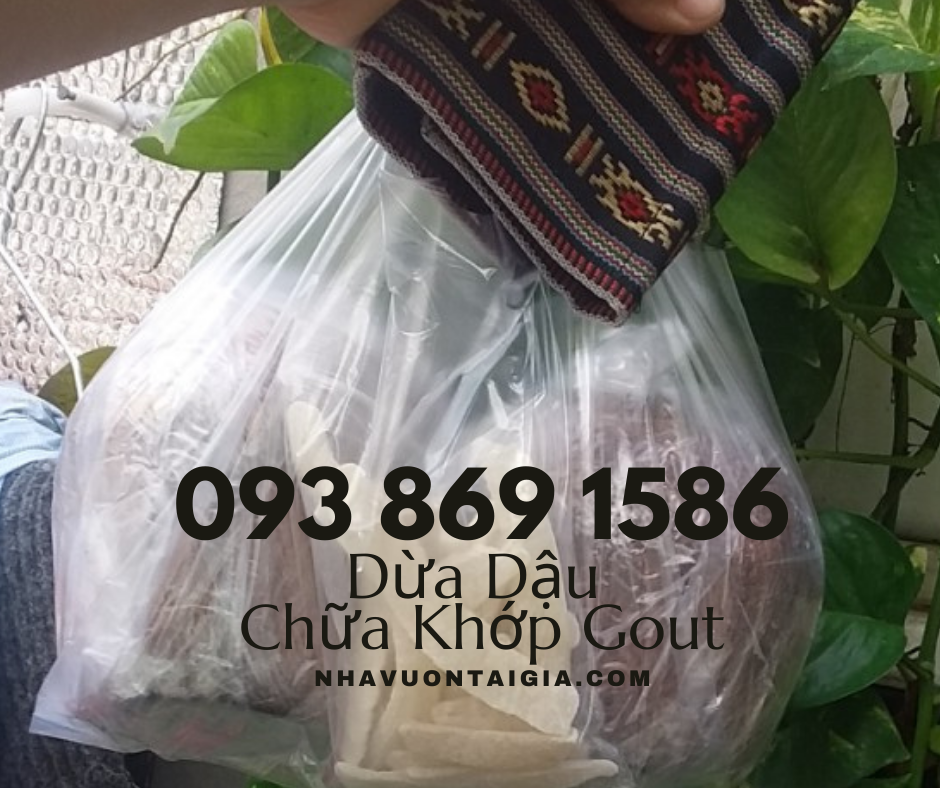 Bài thuốc dân gian chữa đau nhức xương khớp đậu đen hấp trái dừa cách thủy bảy tiếng