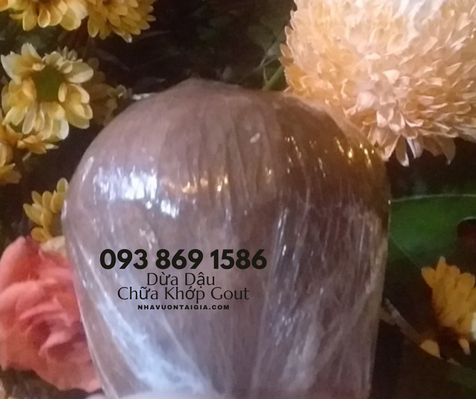 Bài thuốc dân gian chữa đau nhức xương khớp đậu đen hấp trái dừa cách thủy bảy tiếng