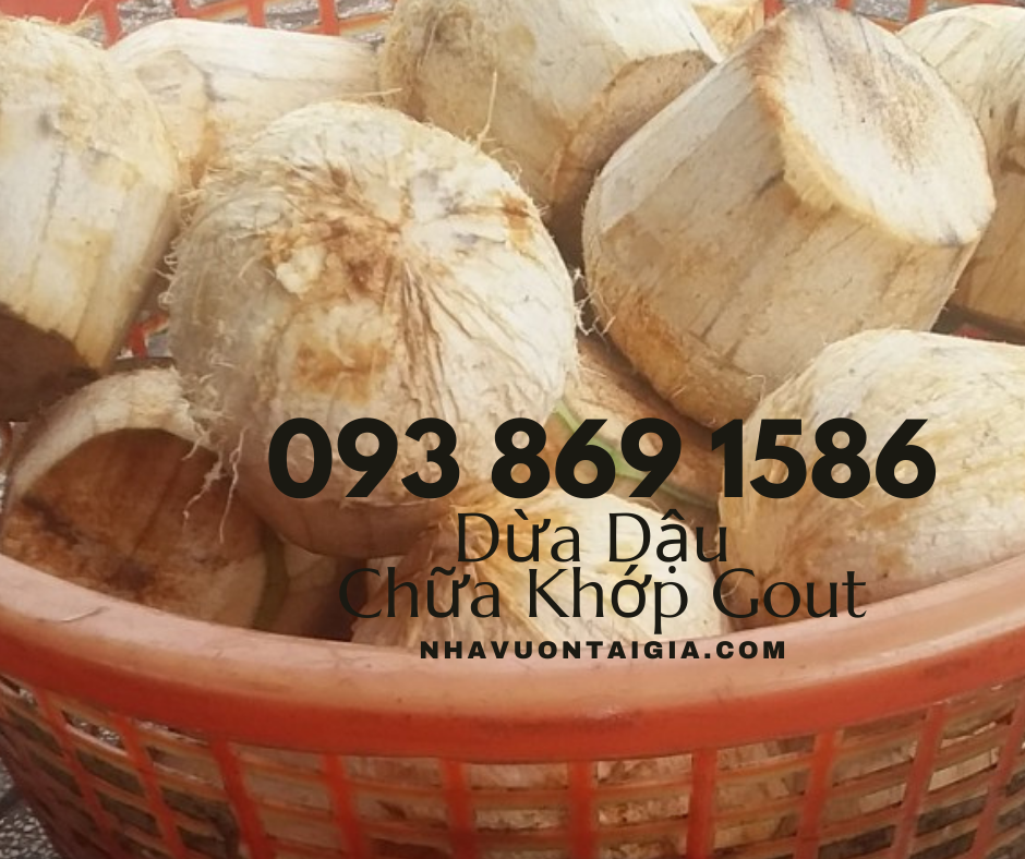 Bài thuốc dân gian chữa đau nhức xương khớp đậu đen hấp trái dừa cách thủy bảy tiếng