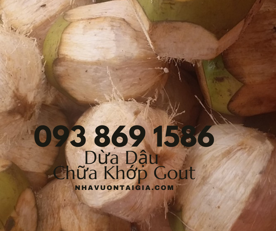 Bài thuốc dân gian chữa đau nhức xương khớp đậu đen hấp trái dừa cách thủy bảy tiếng