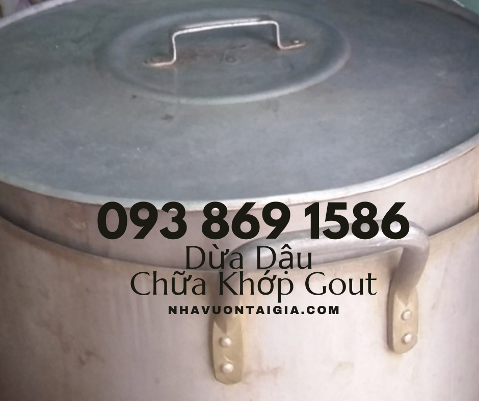 Bài thuốc dân gian chữa đau nhức xương khớp đậu đen hấp trái dừa cách thủy bảy tiếng