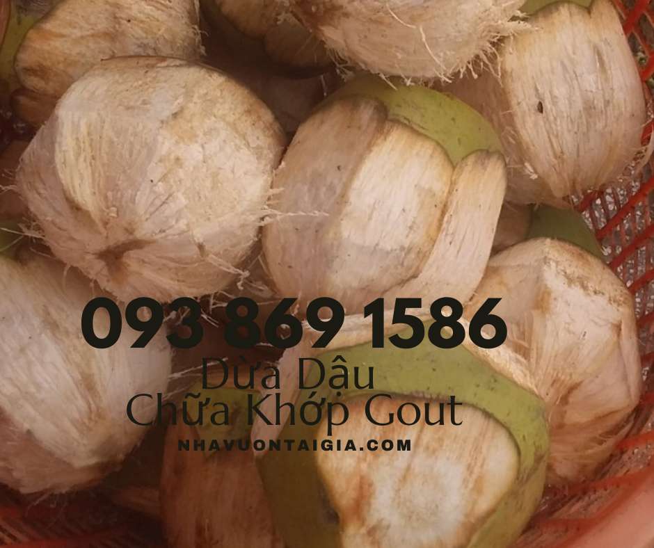Bài thuốc dân gian chữa đau nhức xương khớp đậu đen hấp trái dừa cách thủy bảy tiếng
