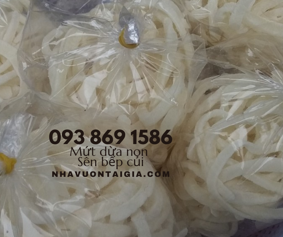 Mứt dừa non Bến Tre handmade vị truyền thống, lá dứa, cafe, sầu riêng TPHCM