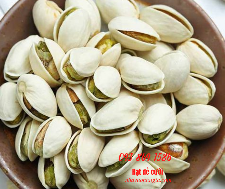 Hạt dẻ cười 1kg giá bao nhiêu mua tại TPHCM NhaVuonTaiGia